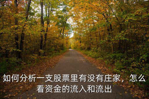 如何分析一支股票里有沒(méi)有莊家，怎么看資金的流入和流出