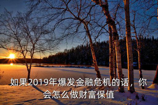 如果2019年爆發(fā)金融危機(jī)的話，你會(huì)怎么做財(cái)富保值