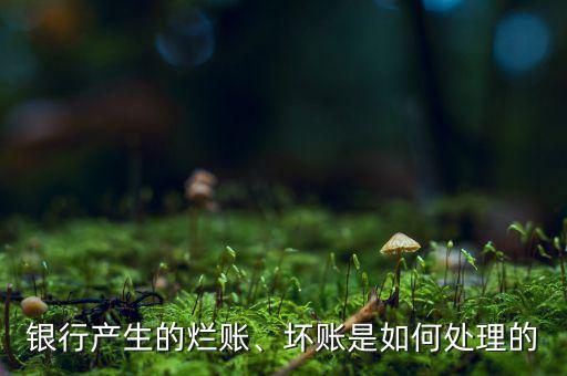銀行產(chǎn)生的爛賬、壞賬是如何處理的