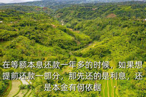 在等額本息還款一年多的時(shí)候，如果想提前還款一部分，那先還的是利息，還是本金有何依據(jù)