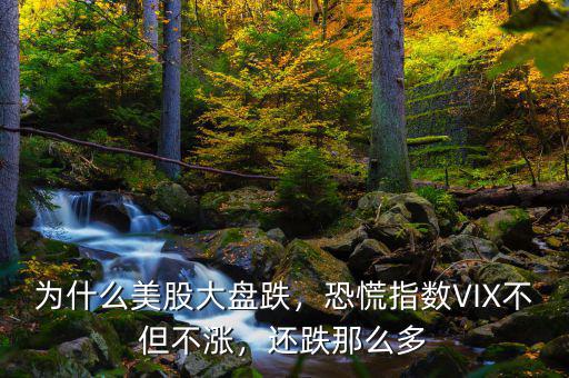 為什么美股大盤跌，恐慌指數(shù)VIX不但不漲，還跌那么多
