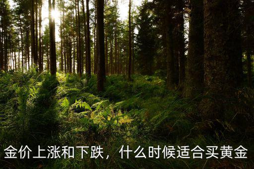 金價(jià)上漲和下跌，什么時(shí)候適合買黃金