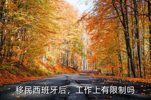 移民西班牙后，工作上有限制嗎