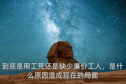 到底是用工荒還是缺少廉價工人，是什么原因造成現(xiàn)在的局面