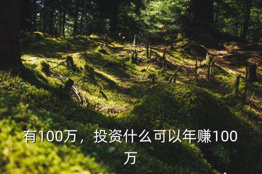 有100萬，投資什么可以年賺100萬
