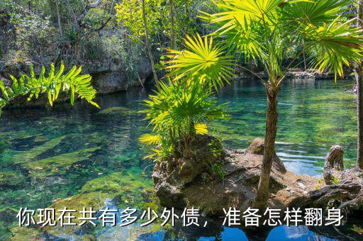 你現(xiàn)在共有多少外債，準備怎樣翻身