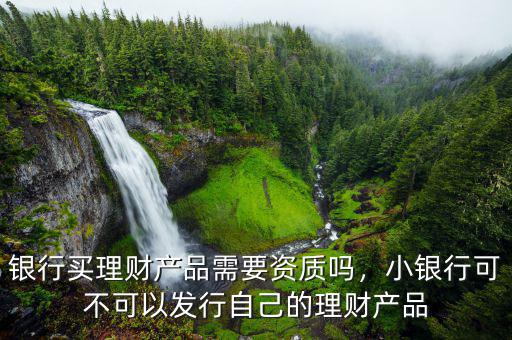 銀行買理財(cái)產(chǎn)品需要資質(zhì)嗎，小銀行可不可以發(fā)行自己的理財(cái)產(chǎn)品