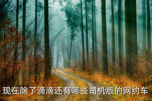 現在除了滴滴還有哪些司機版的網約車