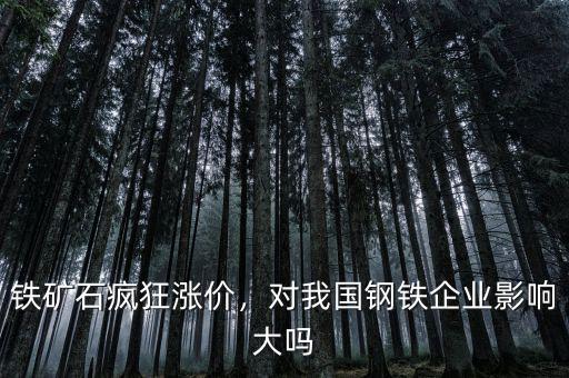 鐵礦石瘋狂漲價(jià)，對(duì)我國鋼鐵企業(yè)影響大嗎