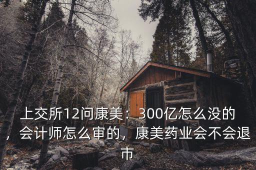 上交所12問康美：300億怎么沒的，會計(jì)師怎么審的，康美藥業(yè)會不會退市