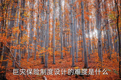 巨災保險制度設(shè)計的難度是什么