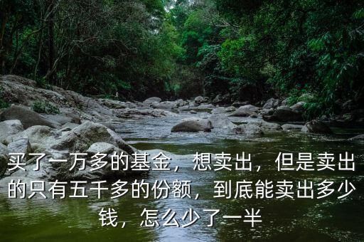 買了一萬多的基金，想賣出，但是賣出的只有五千多的份額，到底能賣出多少錢，怎么少了一半