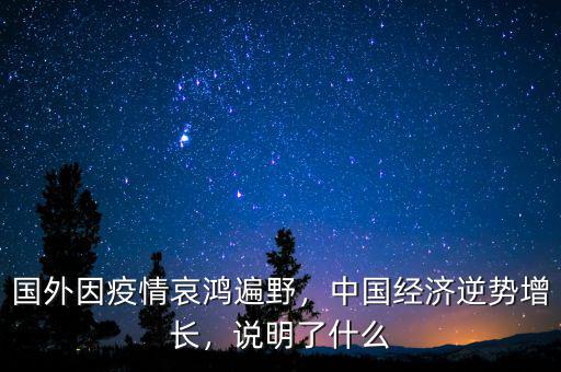 國(guó)外因疫情哀鴻遍野，中國(guó)經(jīng)濟(jì)逆勢(shì)增長(zhǎng)，說明了什么