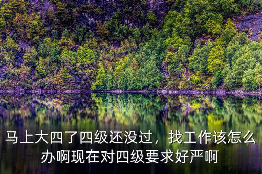 馬上大四了四級還沒過，找工作該怎么辦啊現(xiàn)在對四級要求好嚴(yán)啊