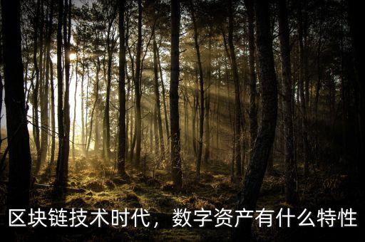 區(qū)塊鏈技術(shù)時代，數(shù)字資產(chǎn)有什么特性