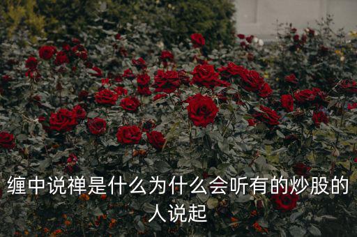纏中說禪是什么為什么會(huì)聽有的炒股的人說起