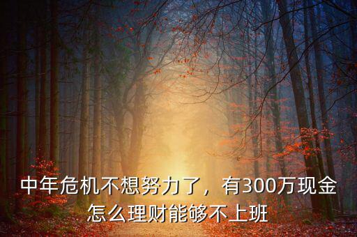中年危機(jī)不想努力了，有300萬(wàn)現(xiàn)金怎么理財(cái)能夠不上班