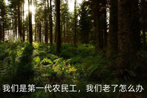 我們是第一代農(nóng)民工，我們老了怎么辦
