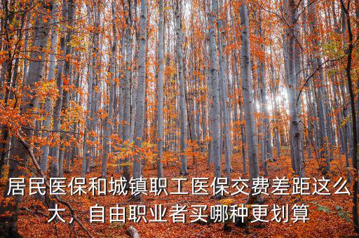 居民醫(yī)保和城鎮(zhèn)職工醫(yī)保交費差距這么大，自由職業(yè)者買哪種更劃算