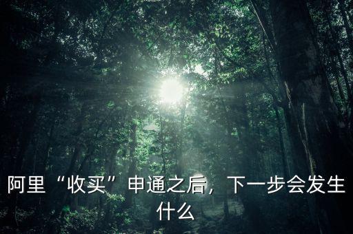 阿里“收買”申通之后，下一步會(huì)發(fā)生什么