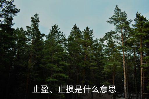 止盈、止損是什么意思
