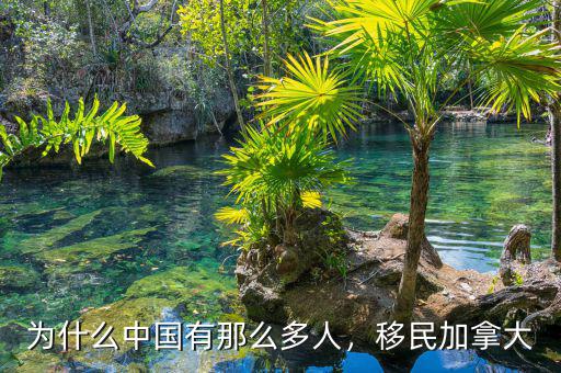為什么中國(guó)有那么多人，移民加拿大