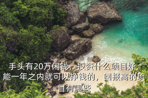 手頭有20萬閑錢，投資什么項目好，能一年之內就可以掙錢的，回報高的項目有哪些