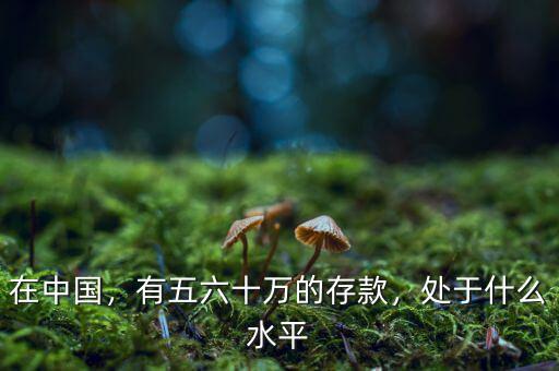在中國，有五六十萬的存款，處于什么水平