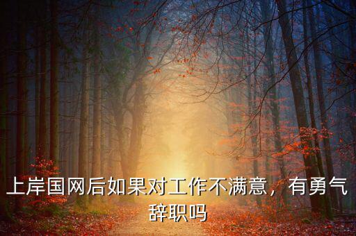 上岸國(guó)網(wǎng)后如果對(duì)工作不滿意，有勇氣辭職嗎