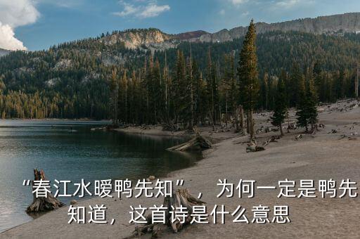 “春江水曖鴨先知”，為何一定是鴨先知道，這首詩是什么意思