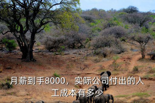 月薪到手8000，實(shí)際公司付出的人工成本有多少