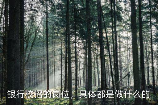 銀行校招的崗位，具體都是做什么的