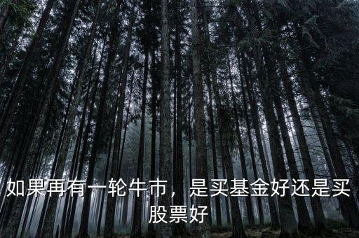 如果再有一輪牛市，是買基金好還是買股票好