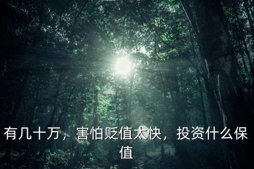 有幾十萬，害怕貶值太快，投資什么保值
