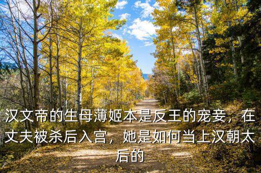 漢文帝的生母薄姬本是反王的寵妾，在丈夫被殺后入宮，她是如何當(dāng)上漢朝太后的