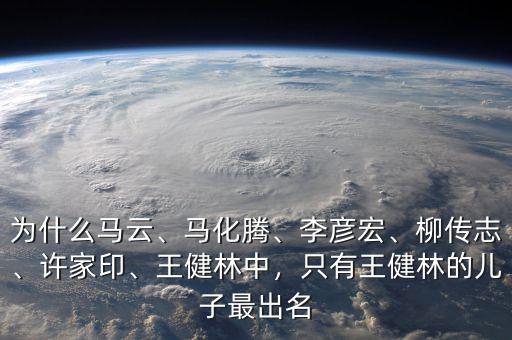 為什么馬云、馬化騰、李彥宏、柳傳志、許家印、王健林中，只有王健林的兒子最出名