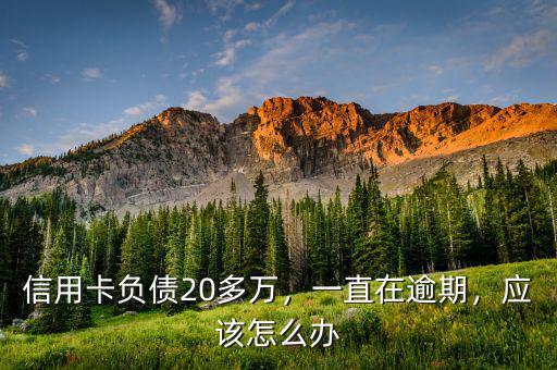 信用卡負債20多萬，一直在逾期，應該怎么辦