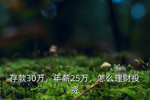 存款30萬，年薪25萬，怎么理財投資