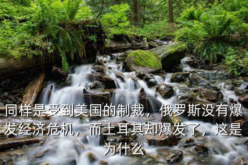 同樣是受到美國(guó)的制裁，俄羅斯沒(méi)有爆發(fā)經(jīng)濟(jì)危機(jī)，而土耳其卻爆發(fā)了，這是為什么
