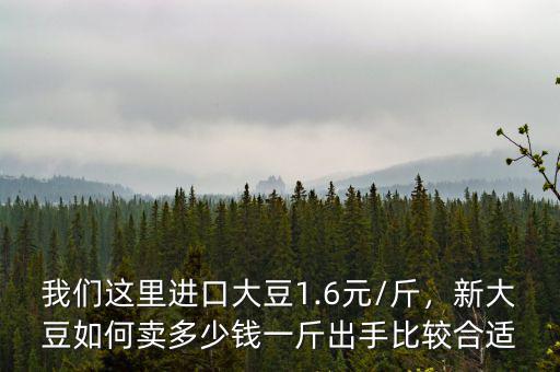 我們這里進(jìn)口大豆1.6元/斤，新大豆如何賣多少錢一斤出手比較合適