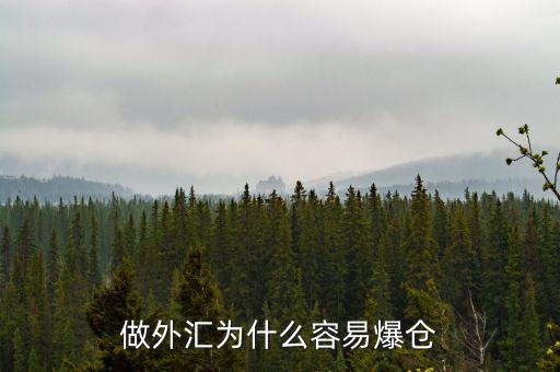 做外匯為什么容易爆倉(cāng)
