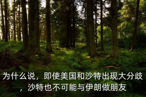 為什么說，即使美國和沙特出現大分歧，沙特也不可能與伊朗做朋友