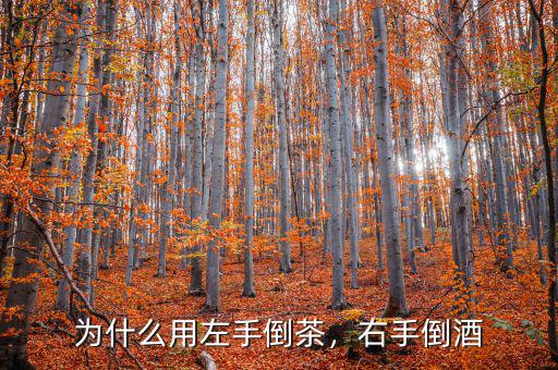 為什么用左手倒茶，右手倒酒
