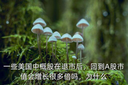 一些美國中概股在退市后，回到A股市值會增長很多倍嗎，為什么