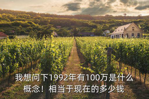 我想問(wèn)下1992年有100萬(wàn)是什么概念！相當(dāng)于現(xiàn)在的多少錢(qián)