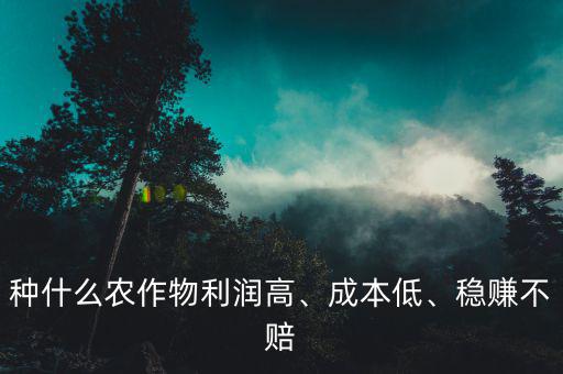 種什么農(nóng)作物利潤(rùn)高、成本低、穩(wěn)賺不賠