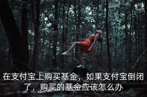 在支付寶上購(gòu)買(mǎi)基金，如果支付寶倒閉了，購(gòu)買(mǎi)的基金應(yīng)該怎么辦