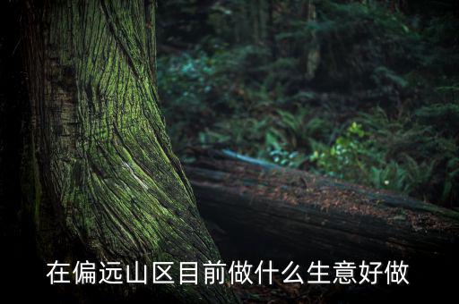 偏遠(yuǎn)城市做什么項(xiàng)目,可用5年。做什么項(xiàng)目好呢