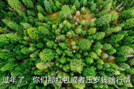 過(guò)年了，你們那紅包或者壓歲錢(qián)啥行情