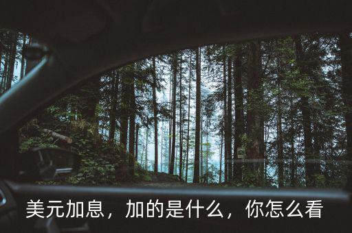 美元加息什么意思,美聯(lián)儲加息是什么意思